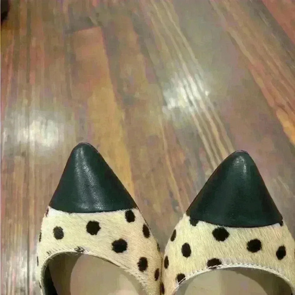 Designer Loeffler And Randall Calfskin Pointed Toe Flats Sz 5.5 - Picture 4 of 7